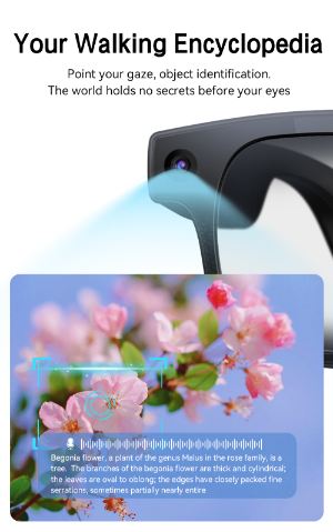 Gradient AI Smart Glasses G2Pro